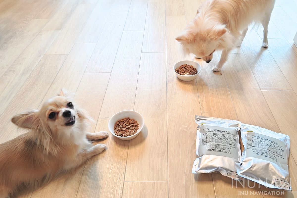 吉岡油糧　丸粒を食べる愛犬とフレーク粒を食べる愛犬